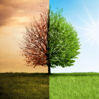 Климатичните промени: Конференция на ООН започва в отсъствието на големите замърсители