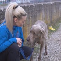 Жена скочи в 7-метров преливник, за да спаси кучето си