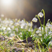 Преобладаващо слънчево днес, слаб дъжд на места. Температурите - до 18°