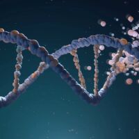 Защо остаряваме? Интервю на Виктория Петрова с проф. Бьорн Шумахер