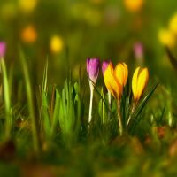 Слънчев и топъл петък 13-ти