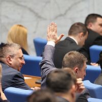 Кабинетът трябва да внесе в парламента проектозакон за присъединяването ни към Устава на Съвета за мир