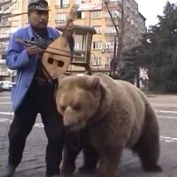 „Той се изправи и изрева... и аз взех да плача“: Историята на Ради Иванов - последният мечкадар в България