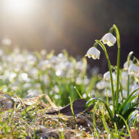 Слънчево и все още топло за сезона в понеделник – 16 март