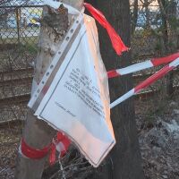 Опасни тополи тревожат жителите на столичния квартал „Дружба“