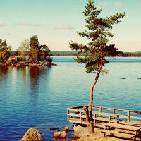 От Скандинавия до Коста Рика: Каква е тайна на щастието през 2026 г.?