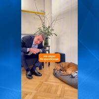 Първата по рода си операция: Специален полет евакуира гърци и техните домашни любимци от Близкия изток