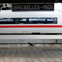 Спряха влаковете в Брюксел заради подозрителни чанти на най-голямата гара