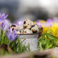 На Благовещение облачността се разкъсва, температурите - до 16 градуса