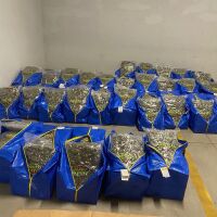 ГДБОП и ДАНС заловиха над 240 кг наркотици и оръжие при съвместна акция (СНИМКИ)