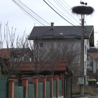 Когато нападнали полицая: Михайлов и приятелите му били с маски, въоръжени с пушки