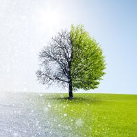 Времето през април: Температури между -5° и 29°