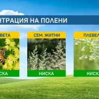 Валежите тази седмица ще изчистят полените от въздуха