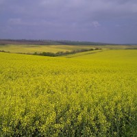 Таксите за поземлена собственост са актуализирани