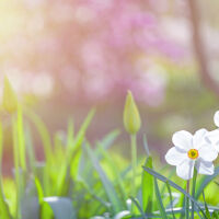 Слънчево и с приятни за сезона температури на 9 март