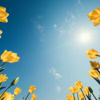 Проф. Георги Рачев: Захлаждане отстъпва място на затопляне, но нов студен фронт дебне около Великден