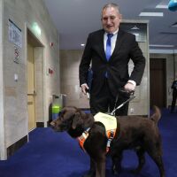 241-вият „депутат“ в 52-рия парламент: Иван Янев и кучето му Роувър