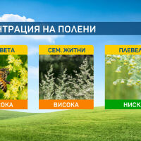 Слънцето през следващите дни ще повиши концентрацията на полени