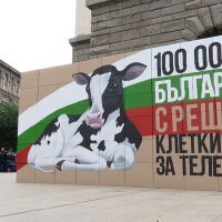 Хора в клетки протестират пред парламента