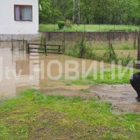 Проливните дъждове: Река Вит излезе от коритото си и заля дворове в Тетевен (ВИДЕО и СНИМКИ)