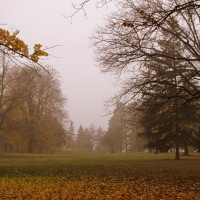 Днес времето ще бъде и мъгливо, и слънчево 