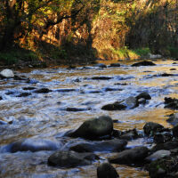 МОСВ нареди кметовете и областните управители да предприемат мерки за почистване на речни корита и дерета