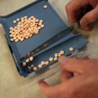 Злоупотреба или манипулация на данни? Скандал около скъпоструващи лекарства за деца 