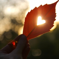 Слънчево в първия ден на декември