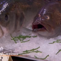Краси излиза начело