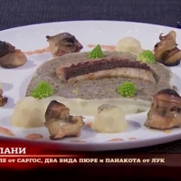 Как се представи Добата?