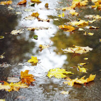 Оранжев код за значителни валежи в 5 области у нас