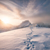 Петима туристи загинаха по време на снежна буря 