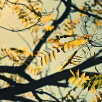  Между 8 и 13 градуса в петък