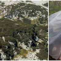 Мъжът, открит в Пирин: 2008 г. е обявен за издирване, 2013 г. - за мъртъв. Криел се и от семейството си