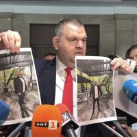 Втори епизод на сагата Пеeвски-Рашков-Мухарем Мухата