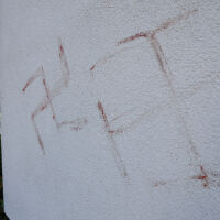 Полицията в Германия разследва появата на свастики, изрисувани с човешка кръв (СНИМКИ)