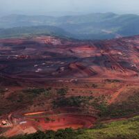 Болнавите гори на Европа абсорбират все по-малко въглероден диоксид. Решението – 10% по-малко сеч