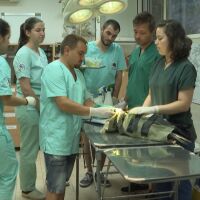 "Всяка вечер, някой спеше при животните": Спасителният център за диви животни "Зелени Балкани" на 30 г. 