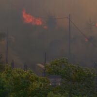 След пепелта: Уроците на Гърция за свят, който гори все по-често