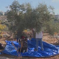 Напрежението между израелци и палестинци ескалира и на Западния бряг