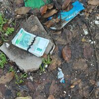 С риск да закъснеят за изпит: Двама младежи намериха голяма сума пари и потърсиха на кого са (СНИМКИ)