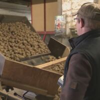 „Давах им ги безплатно. Накрая ги изгорих“: Фермер от Германия унищожи 400 тона от картофите, които произведе