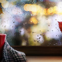 През почивните дни температурите ще се повишават, а от вторник - валежи