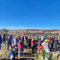 „Гората на спомените“: Доброволци и родители засадиха над 2000 дървета