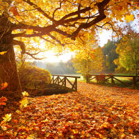 Слънчево и с приятни за сезона температури в неделя – 16 ноември