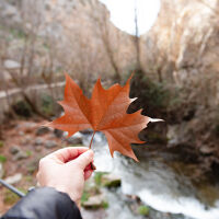 Какво време ни очаква до 30 ноември?