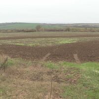 Спор за арендата на земя: Защо не могат да се разберат собственици и арендатори?