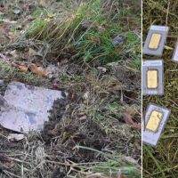 Mъж откри златни кюлчета, докато коси в двора (ВИДЕО)