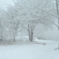 Първи сняг: Необичайно ранно начало на зимата в Германия (ВИДЕО)