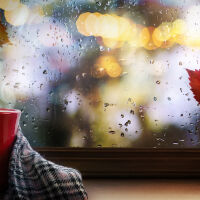 Проф. Георги Рачев: От неделя температурите ще станат нормални за края на ноември